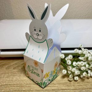 Коробка кролик
