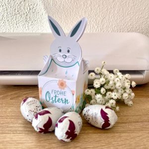 Schachtel Kaninchen mit Schokoladeneiern